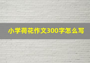 小学荷花作文300字怎么写