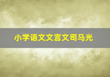 小学语文文言文司马光