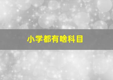 小学都有啥科目