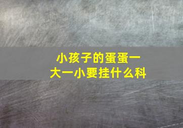 小孩子的蛋蛋一大一小要挂什么科