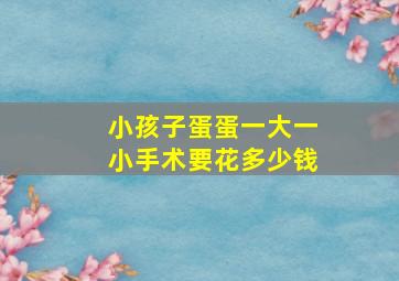 小孩子蛋蛋一大一小手术要花多少钱