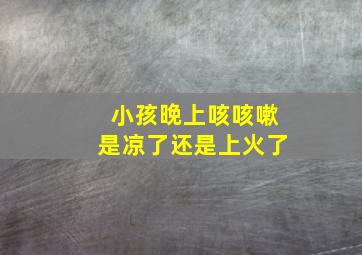 小孩晚上咳咳嗽是凉了还是上火了