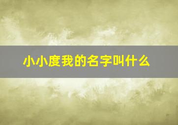 小小度我的名字叫什么