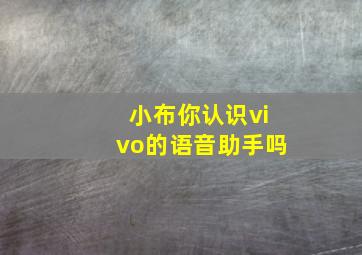 小布你认识vivo的语音助手吗