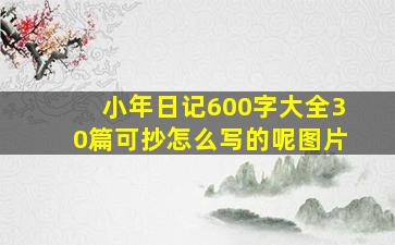 小年日记600字大全30篇可抄怎么写的呢图片