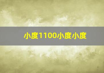 小度1100小度小度