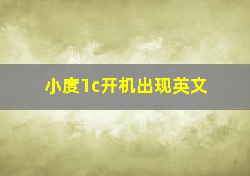 小度1c开机出现英文