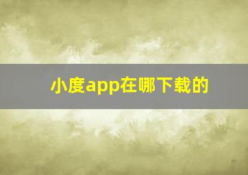 小度app在哪下载的