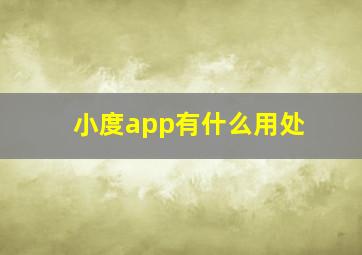 小度app有什么用处