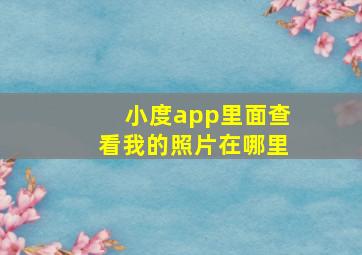 小度app里面查看我的照片在哪里