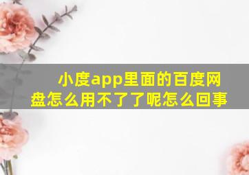 小度app里面的百度网盘怎么用不了了呢怎么回事