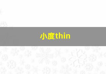 小度thin