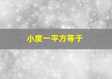 小度一平方等于