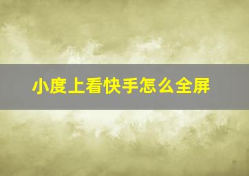 小度上看快手怎么全屏