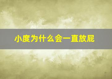 小度为什么会一直放屁