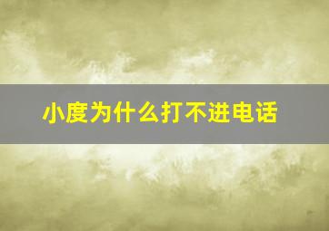 小度为什么打不进电话