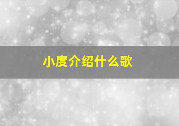 小度介绍什么歌