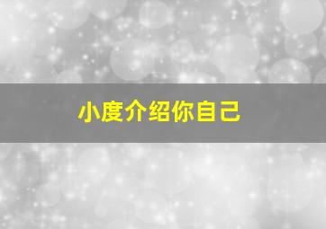 小度介绍你自己