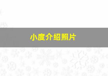 小度介绍照片