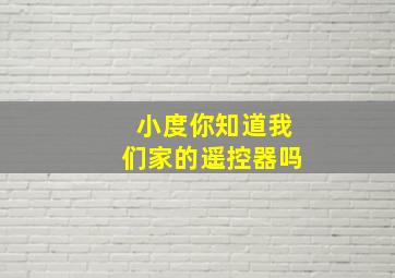 小度你知道我们家的遥控器吗