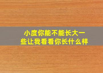 小度你能不能长大一些让我看看你长什么样