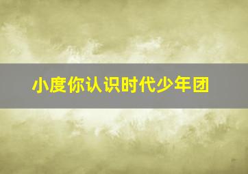 小度你认识时代少年团