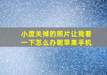 小度关掉的照片让我看一下怎么办呢苹果手机