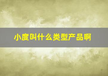 小度叫什么类型产品啊