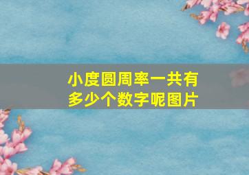 小度圆周率一共有多少个数字呢图片