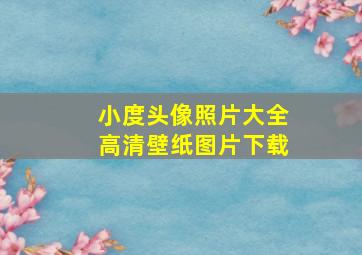 小度头像照片大全高清壁纸图片下载