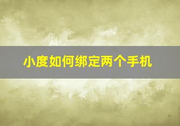 小度如何绑定两个手机