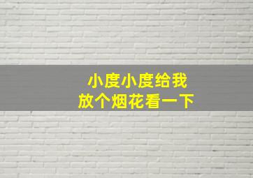 小度小度给我放个烟花看一下