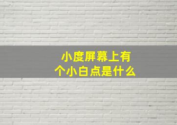 小度屏幕上有个小白点是什么