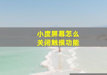 小度屏幕怎么关闭触摸功能