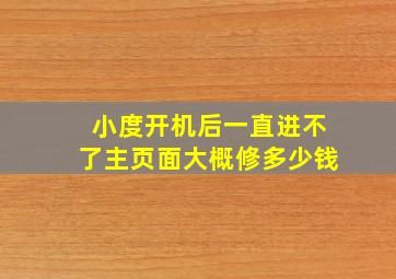 小度开机后一直进不了主页面大概修多少钱