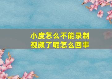 小度怎么不能录制视频了呢怎么回事