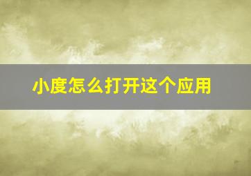 小度怎么打开这个应用