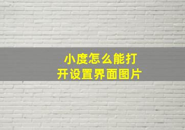 小度怎么能打开设置界面图片