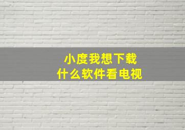 小度我想下载什么软件看电视