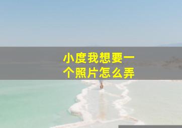 小度我想要一个照片怎么弄