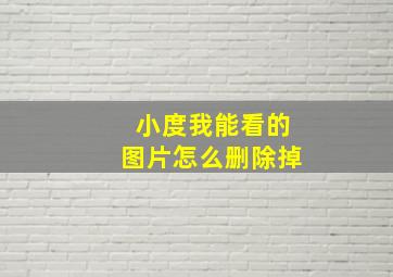 小度我能看的图片怎么删除掉