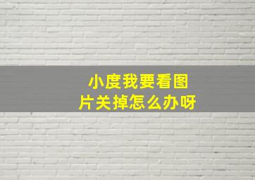 小度我要看图片关掉怎么办呀