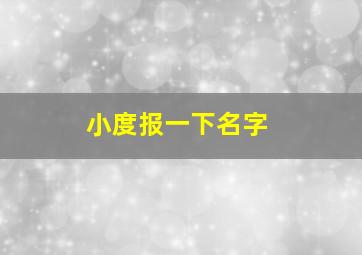 小度报一下名字