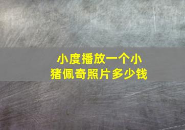 小度播放一个小猪佩奇照片多少钱