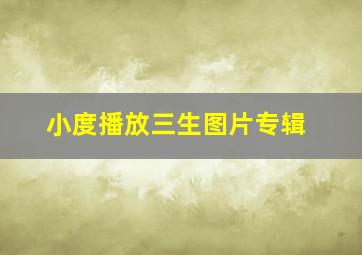 小度播放三生图片专辑