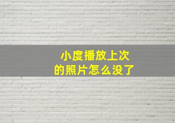 小度播放上次的照片怎么没了