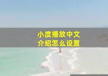 小度播放中文介绍怎么设置