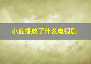 小度播放了什么电视剧