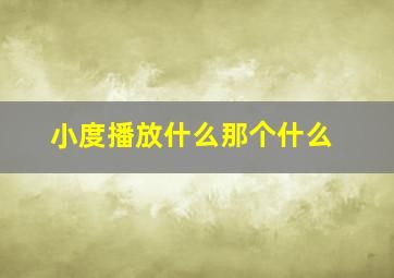 小度播放什么那个什么