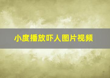 小度播放吓人图片视频